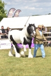 SBM_16095