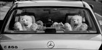 Teddy Bears in Mercedes