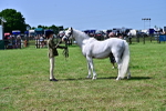 SBM_03893