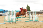 SBM_001931