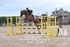 BPP_3904