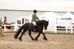 SBM_00544