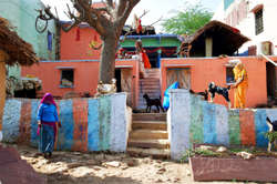 Ramathra Village house with goats