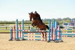 SBM_000559
