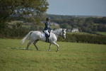 Class 2B: Trekenning Open: Dressage portfolio