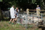 North Show_2014-20