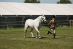 SBM_07627