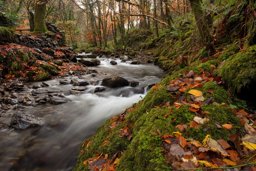 The Glenroy river at the entrance to the Laxey Glen.