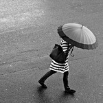 Stripes In The Rain