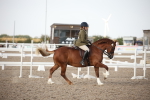 SBM_09194