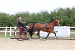 SBM_000738