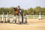 SBM_03830
