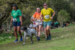 Dovedale-1500