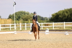 SBM_008488