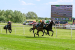 300526-Race 3-Mr Writer-0432