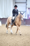 SBM_005413