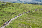 Tebay-105
