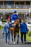 130626-Race 5-Inner City Blues-1866