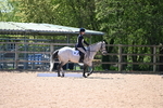 WJ6_9119
