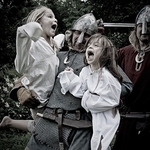 Viking Raid