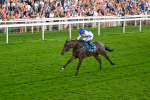 260724-Race 4-Dicko The Legend-5232