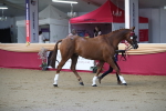 SBM_00594