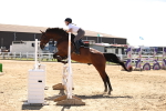 SBM_008026
