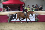 Class 11R Regional Ridden Veteran portfolio