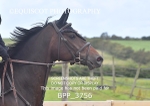 BPP_3756