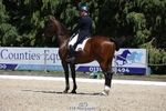 368-COIRBAN_SARCO_DELUX-Rebecca_Gibbs-WEDTrotUp+DR portfolio