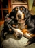 Salvo And Izzy