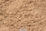 231028A-130706-01597