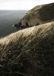 Sea and grass