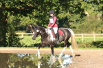 SBM_15626