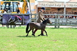 SBM_03560
