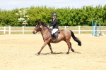 SBM_007943