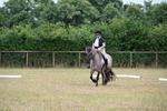 WJ6_1271