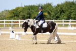 SBM_011833