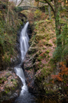 Bridge over Aira Force