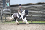 SBM_008024