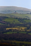 Colmers Hill across the Marshwood Vale