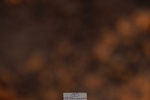 240628A-202114-01293