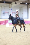 SBM_09981