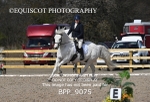 BPP_9075