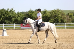 SBM_007550
