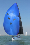 150808 PANTHER GBR43X WT7A0085