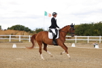 SBM_006287