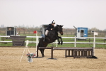 SBM_001688