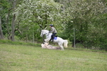WJ6_1428