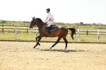 SBM_001193